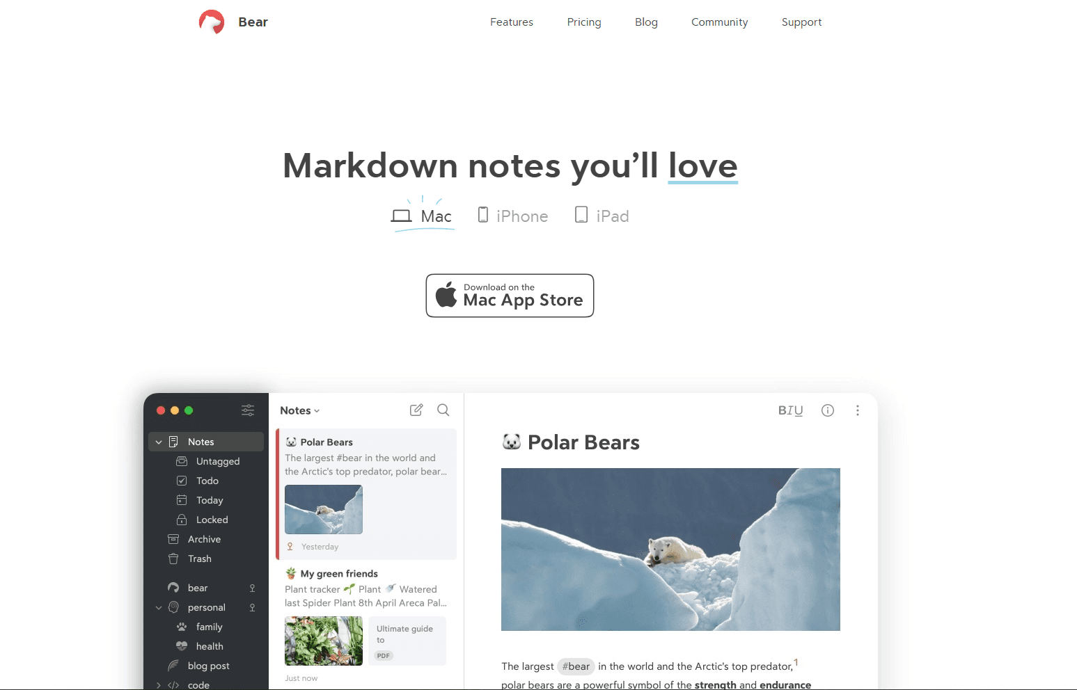 Bear Notes App